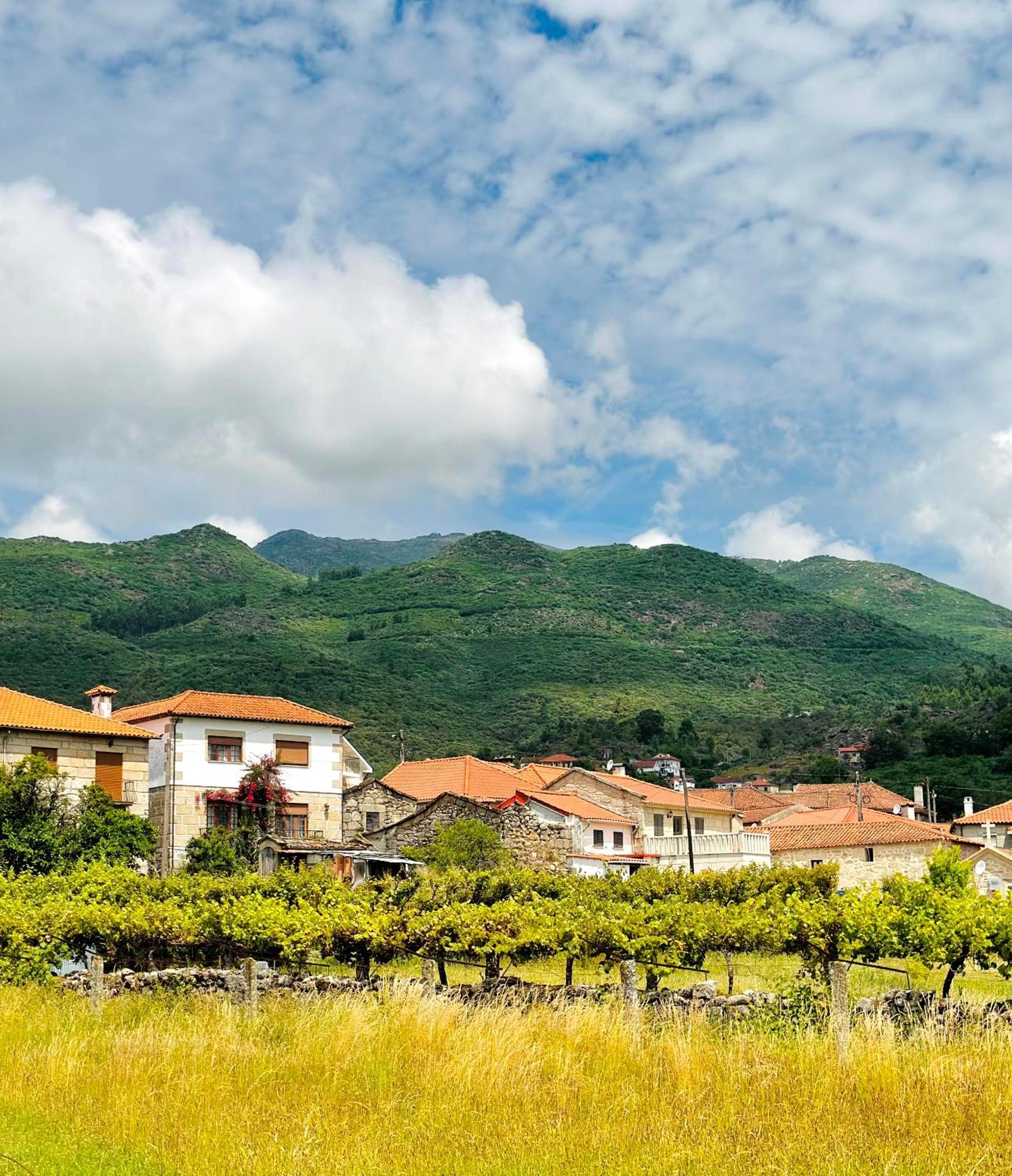 Villa Casa Da Touca Arcos de Valdevez Esterno foto
