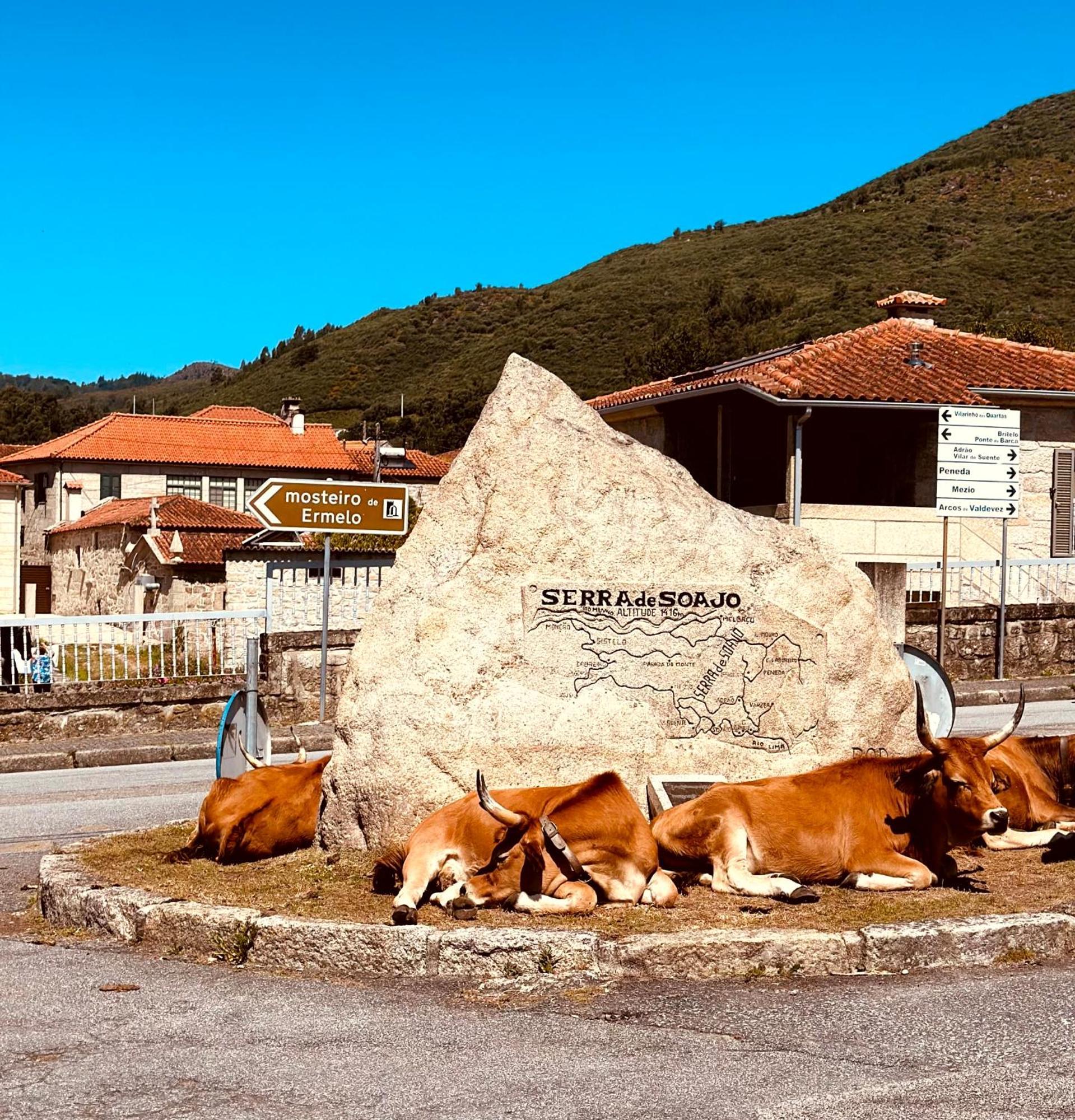 Villa Casa Da Touca Arcos de Valdevez Esterno foto